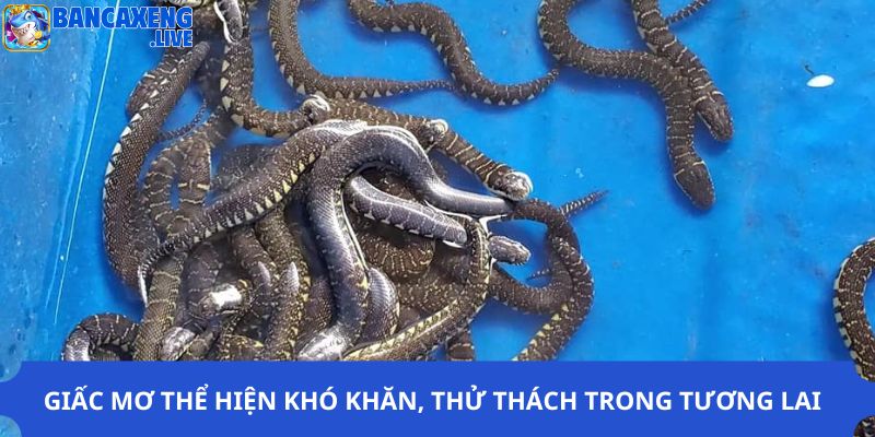 Giấc mơ thể hiện khó khăn, thử thách trong tương lai