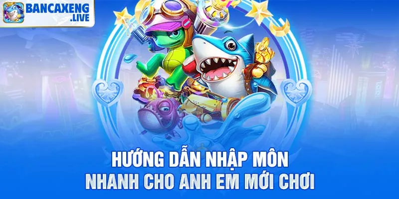 Hướng dẫn nhập môn nhanh cho anh em mới chơi