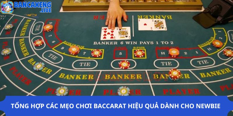 Tổng Hợp Các Mẹo Chơi Baccarat Hiệu Quả Dành Cho Newbie