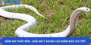 Nằm Mơ Thấy Rắn - Giải Mã Ý Nghĩa Của Điềm Báo Chi Tiết
